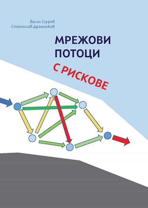 Network flows with risks